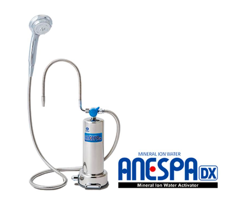 Anepsa DX